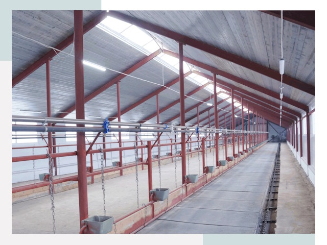 Строительство коровников в Чусовой от 627 руб.