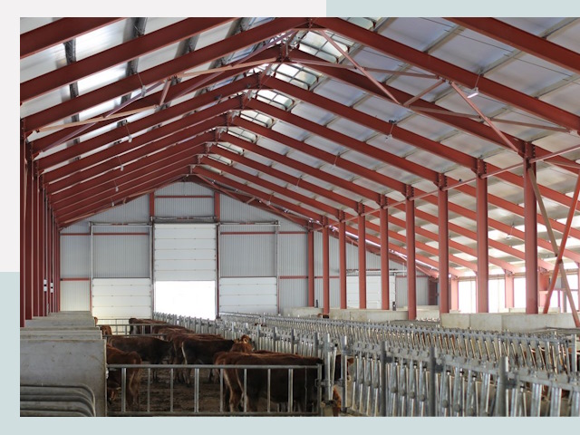 Строительство коровников в Чусовой