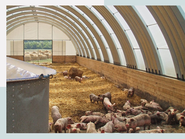 Строительство свинарников в Чусовой