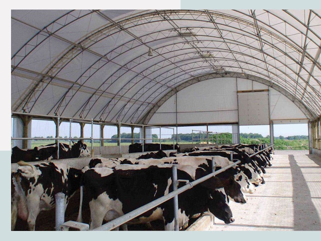 Тентовые коровники в Чусовой